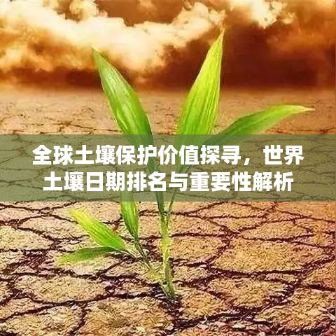 全球土壤保护价值探寻，世界土壤日期排名与重要性解析
