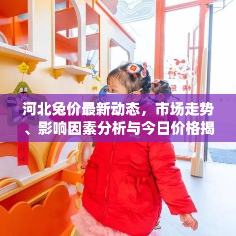 河北兔价最新动态,市场走势、影响因素分析与今日价格揭秘