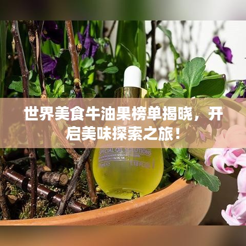 世界美食牛油果榜单揭晓，开启美味探索之旅！