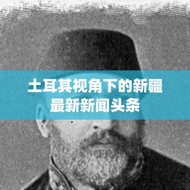 土耳其视角下的新疆最新新闻头条