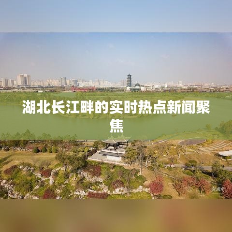 就正有道 第10页