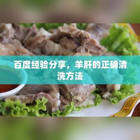 百度经验分享，羊肝的正确清洗方法