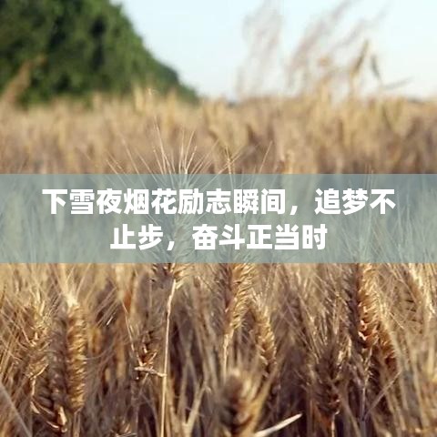 下雪夜烟花励志瞬间，追梦不止步，奋斗正当时