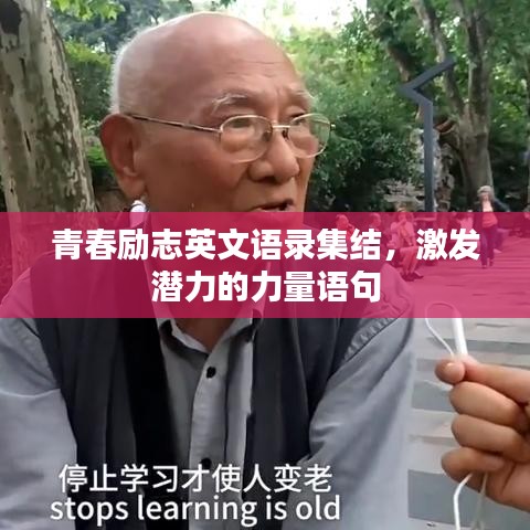 青春励志英文语录集结，激发潜力的力量语句