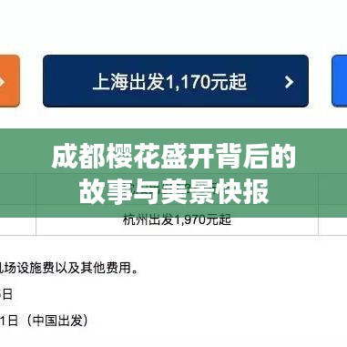 成都樱花盛开背后的故事与美景快报