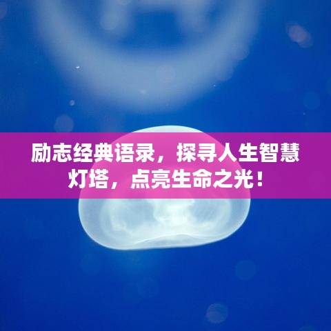 励志经典语录，探寻人生智慧灯塔，点亮生命之光！