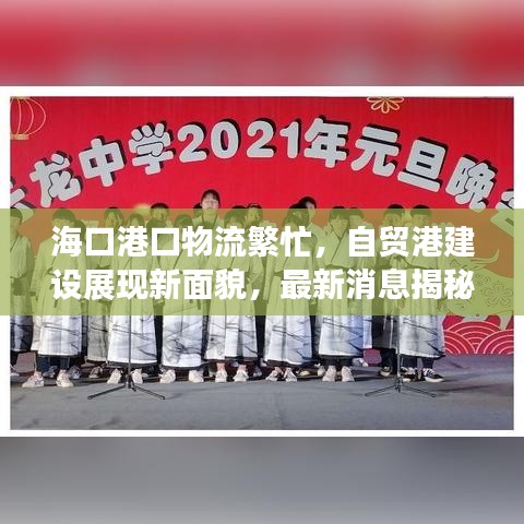 海口港口物流繁忙，自贸港建设展现新面貌，最新消息揭秘新进展