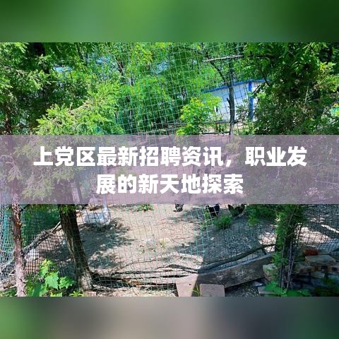 上党区最新招聘资讯，职业发展的新天地探索