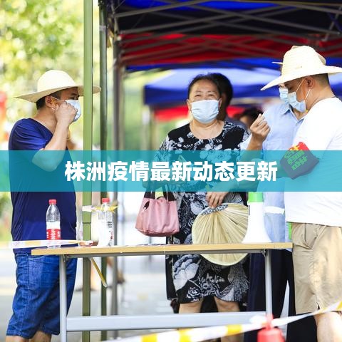 株洲疫情最新动态更新