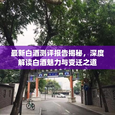 最新白酒测评报告揭秘，深度解读白酒魅力与变迁之道