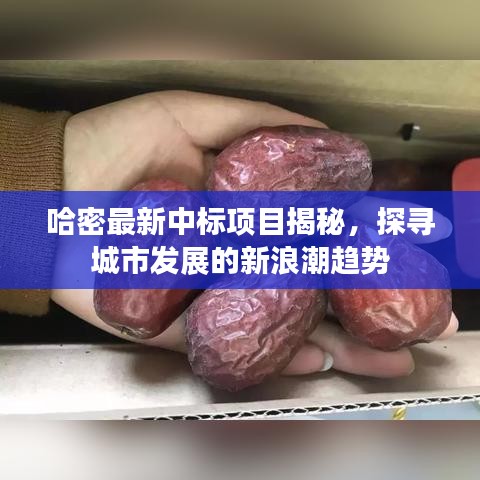哈密最新中标项目揭秘，探寻城市发展的新浪潮趋势