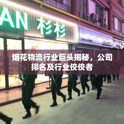 烟花物流行业巨头揭秘，公司排名及行业佼佼者