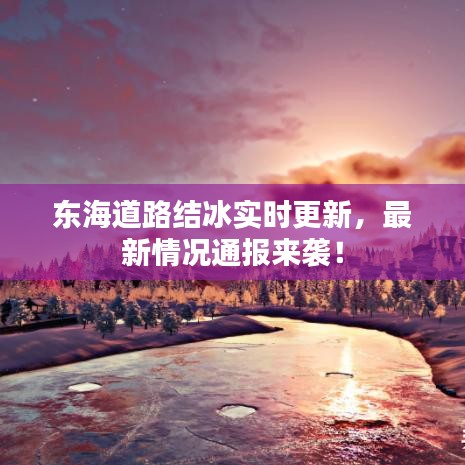 东海道路结冰实时更新，最新情况通报来袭！