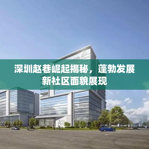 深圳赵巷崛起揭秘，蓬勃发展新社区面貌展现