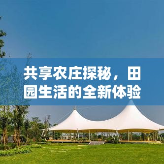 共享农庄探秘，田园生活的全新体验攻略