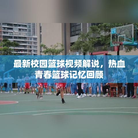 最新校园篮球视频解说,热血青春篮球记忆回顾