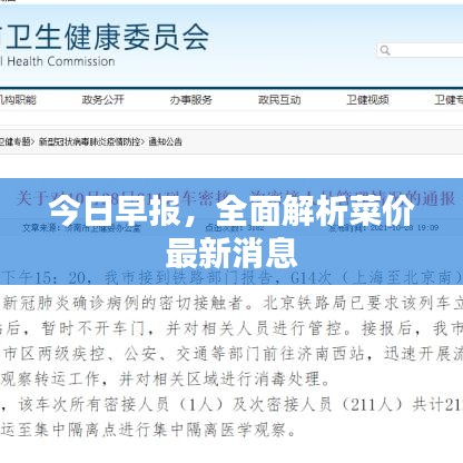 今日早报，全面解析菜价最新消息