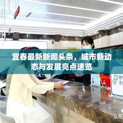 宜春最新新闻头条，城市新动态与发展亮点速览
