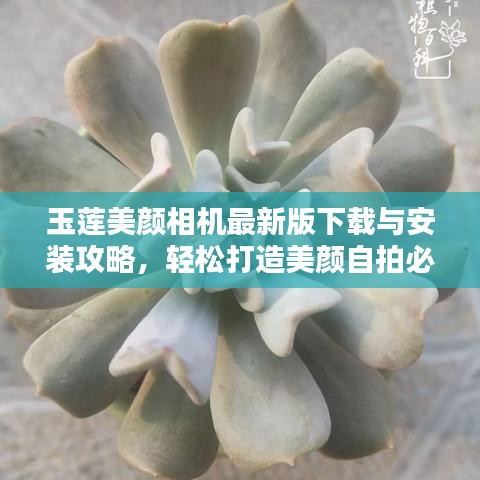 玉莲美颜相机最新版下载与安装攻略，轻松打造美颜自拍必备神器