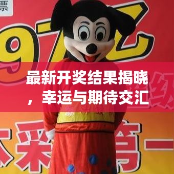 最新开奖结果揭晓，幸运与期待交汇的激动时刻