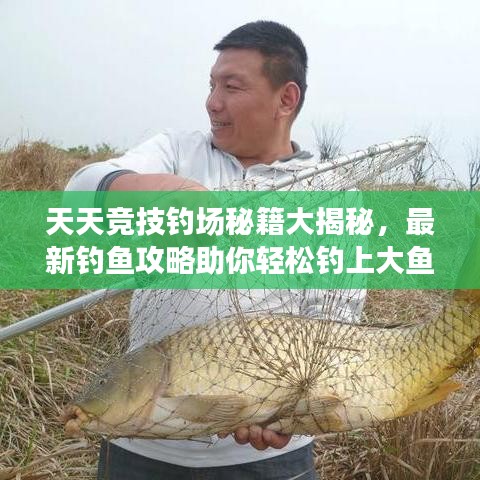 天天竞技钓场秘籍大揭秘，最新钓鱼攻略助你轻松钓上大鱼！