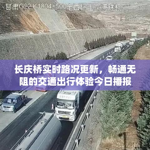 长庆桥实时路况更新，畅通无阻的交通出行体验今日播报