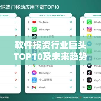 软件投资行业巨头TOP10及未来趋势洞察