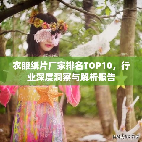 衣服纸片厂家排名TOP10，行业深度洞察与解析报告