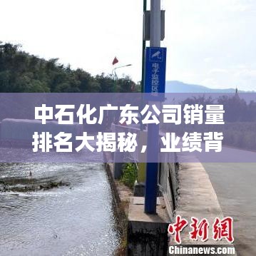 中石化广东公司销量排名大揭秘，业绩背后的故事引人关注！
