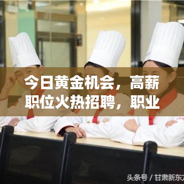 今日黄金机会，高薪职位火热招聘，职业发展新动向！