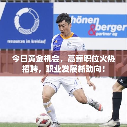 今日黄金机会,高薪职位火热招聘,职业发展新动向!