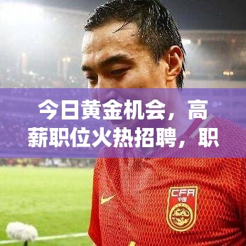 今日黄金机会,高薪职位火热招聘,职业发展新动向!