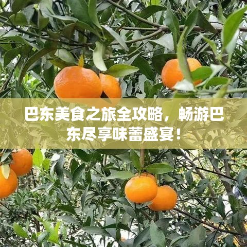 巴东美食之旅全攻略，畅游巴东尽享味蕾盛宴！