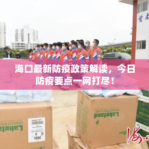 海口最新防疫政策解读，今日防疫要点一网打尽！