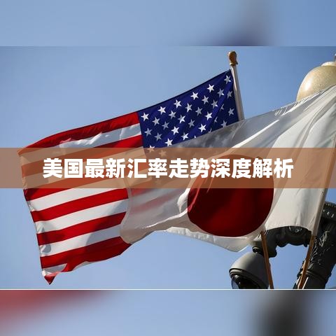 美国最新汇率走势深度解析