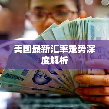 美国最新汇率走势深度解析