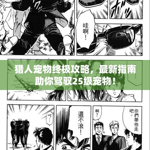 猎人宠物终极攻略，最新指南助你驾驭25级宠物！