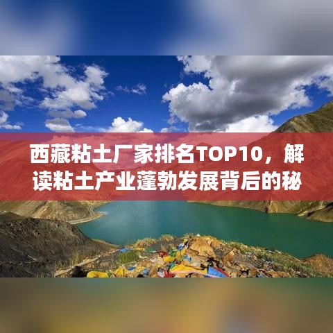 西藏粘土厂家排名TOP10，解读粘土产业蓬勃发展背后的秘密