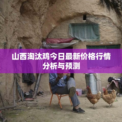 山西淘汰鸡今日最新价格行情分析与预测