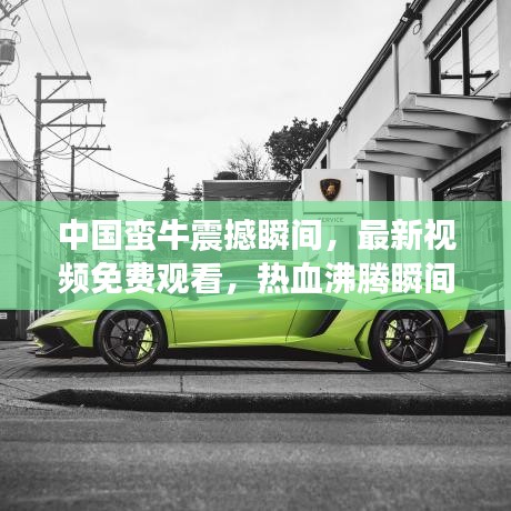 中国蛮牛震撼瞬间，最新视频免费观看，热血沸腾瞬间集锦