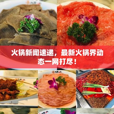 火锅新闻速递，最新火锅界动态一网打尽！