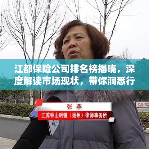 江都保险公司排名榜揭晓,深度解读市场现状,带你洞悉行业格局!