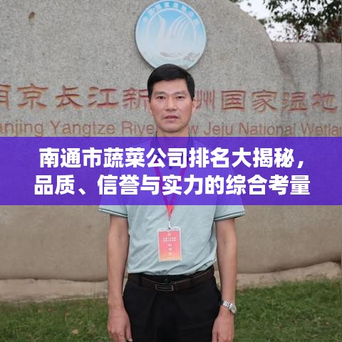 南通市蔬菜公司排名大揭秘，品质、信誉与实力的综合考量榜单出炉！