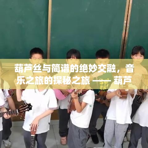 葫芦丝与简谱的绝妙交融，音乐之旅的探秘之旅 —— 葫芦丝简谱全收录