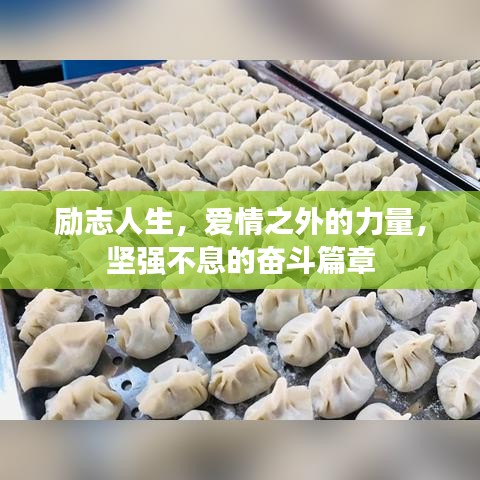 励志人生，爱情之外的力量，坚强不息的奋斗篇章