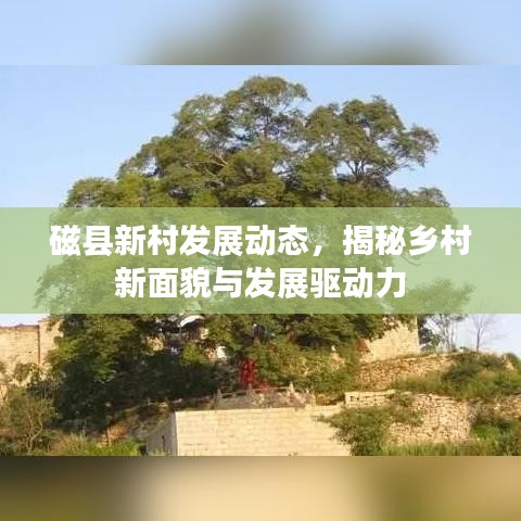 磁县新村发展动态,揭秘乡村新面貌与发展驱动力