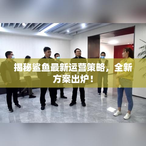 揭秘鲨鱼最新运营策略，全新方案出炉！