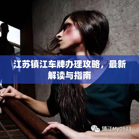 江苏镇江车牌办理攻略，最新解读与指南