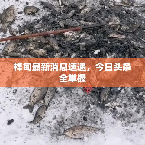 桦甸最新消息速递,今日头条全掌握