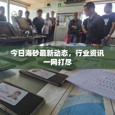 今日海砂最新动态，行业资讯一网打尽
